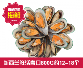 【直发回国】新西兰鲜活青口800G